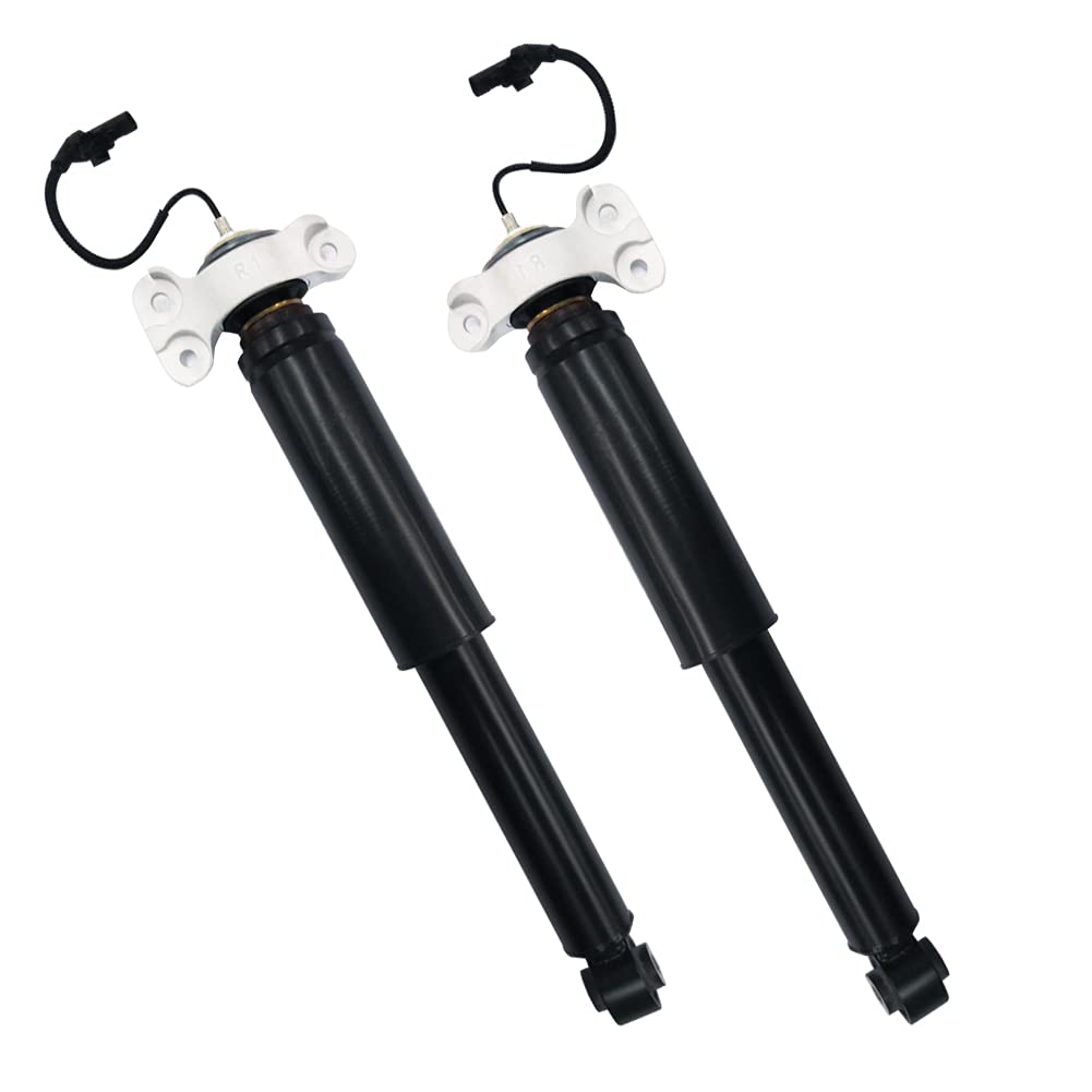Amazon.com: 84230447 84230454 84230450 84230448 Pair Rear Shock
